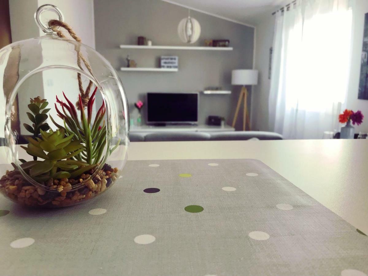 Apartman Marko Primošten Extérieur photo